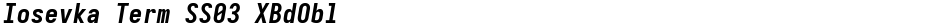 Iosevka Term SS03 XBdOblDemo