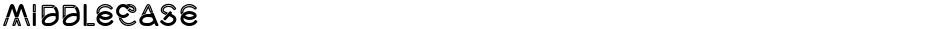 MiddlecaseDemo