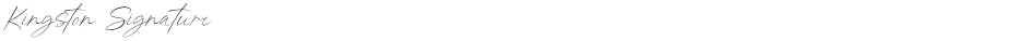 Kingston SignatureDemo