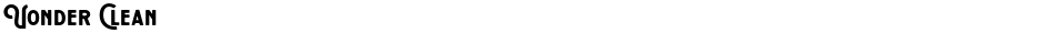 Vonder CleanDemo