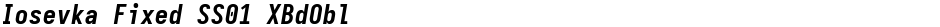 Iosevka Fixed SS01 XBdOblDemo