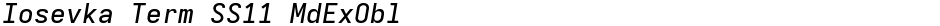 Iosevka Term SS11 MdExOblDemo