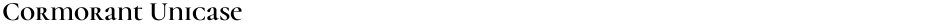 Cormorant UnicaseDemo