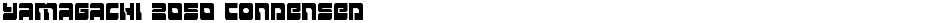 Yamagachi 2050 CondensedDemo