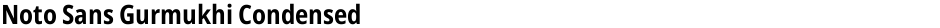 Noto Sans Gurmukhi CondensedDemo
