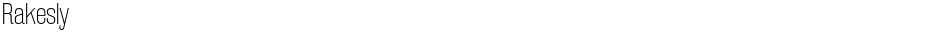 RakeslyDemo
