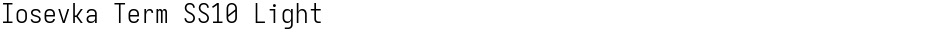 Iosevka Term SS10 LightDemo