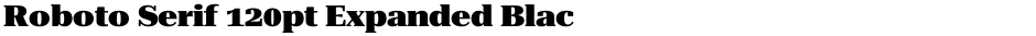 Roboto Serif 120pt Expanded BlackDemo