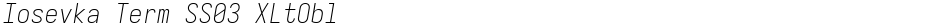 Iosevka Term SS03 XLtOblDemo
