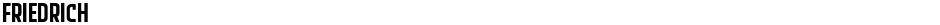 FriedrichDemo