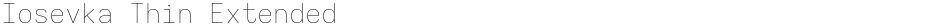 Iosevka Thin ExtendedDemo