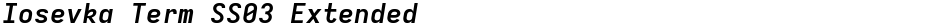 Iosevka Term SS03 ExtendedDemo
