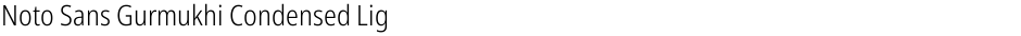 Noto Sans Gurmukhi Condensed LightDemo