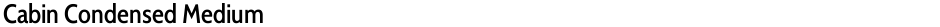 Cabin Condensed MediumDemo