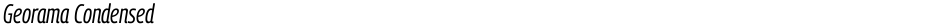 Georama CondensedDemo
