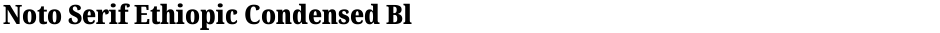 Noto Serif Ethiopic Condensed BlackDemo