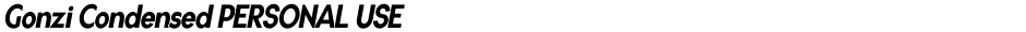 Gonzi Condensed PERSONAL USEDemo