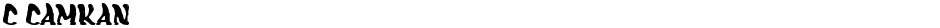 c CamkanDemo