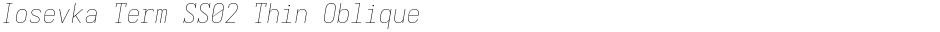 Iosevka Term SS02 Thin ObliqueDemo
