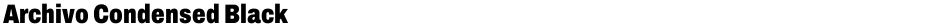 Archivo Condensed BlackDemo