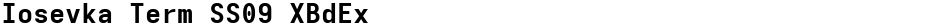 Iosevka Term SS09 XBdExDemo