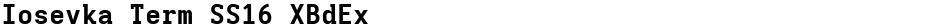 Iosevka Term SS16 XBdExDemo