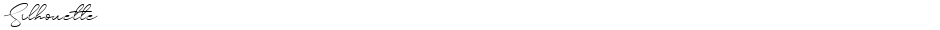 SilhouetteDemo