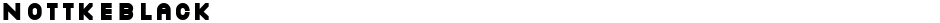 NottkeBlackDemo