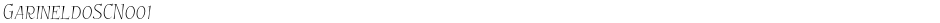 GarineldoSCNo01Demo