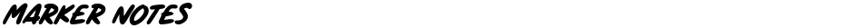 Marker NotesDemo