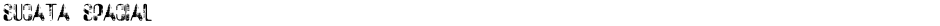 Sucata SpacialDemo