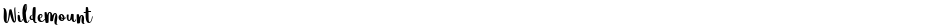 WildemountDemo