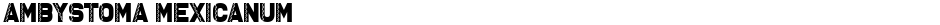 Ambystoma MexicanumDemo