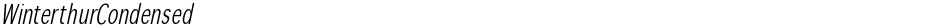 WinterthurCondensedDemo