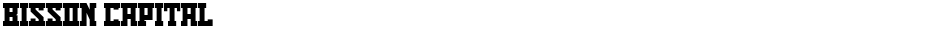 Bisson CapitalDemo