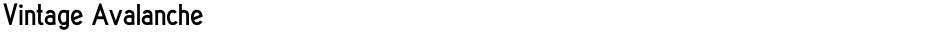 Vintage AvalancheDemo