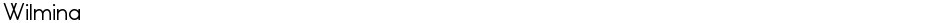 WilminaDemo