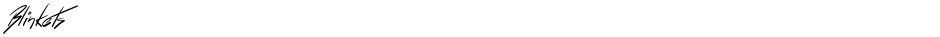 BlinketsDemo