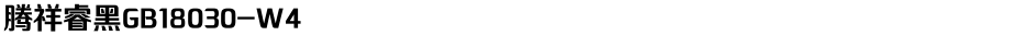 腾祥睿黑GB18030-W4Demo