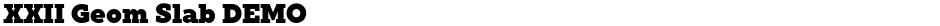 XXII Geom Slab DEMODemo