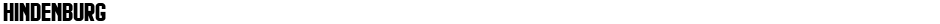 HindenburgDemo