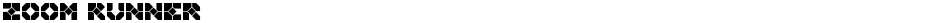 Zoom RunnerDemo