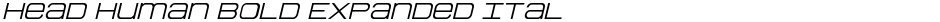 Head Human Bold Expanded ItalDemo