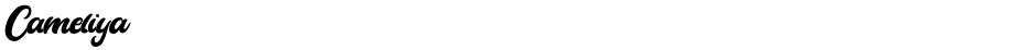 CameliyaDemo