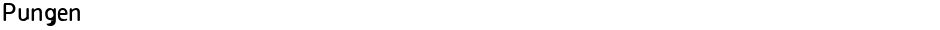 PungenDemo