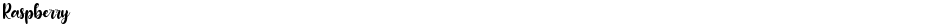 RaspberryDemo