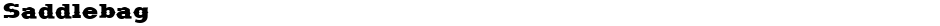 SaddlebagDemo