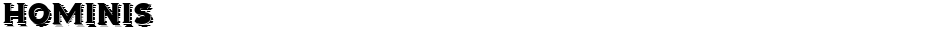 HominisDemo