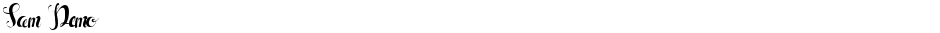 Sam DemoDemo