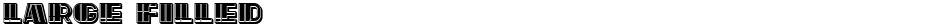 Large FilledDemo